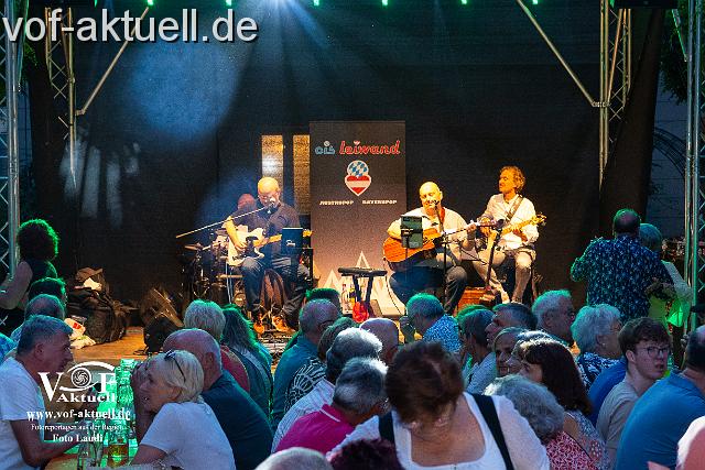 Foto Laudi Donaugassenfest-48.jpg
